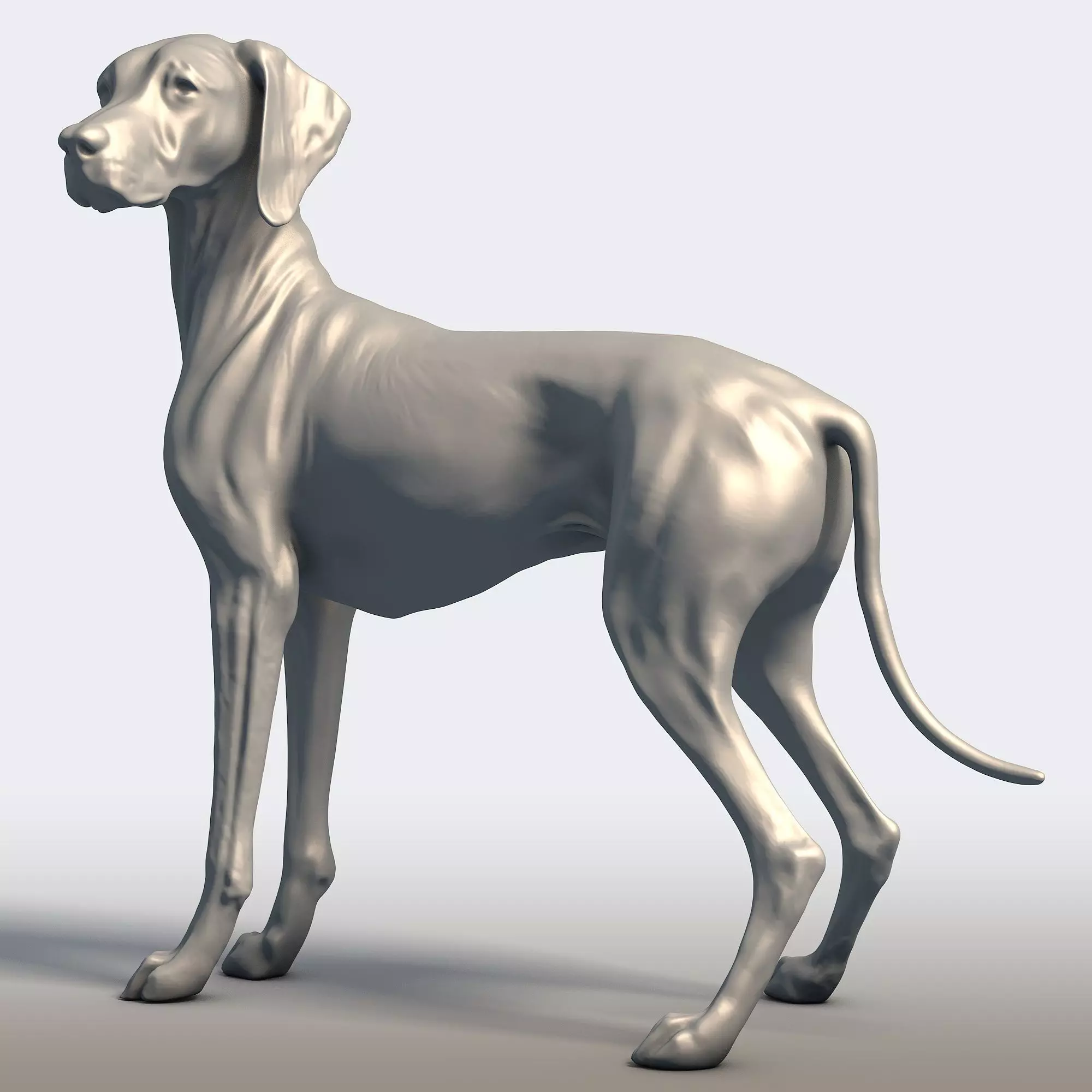 Vizsla Dog Statue Hungarian Pointer Breed Model  3D print model_7