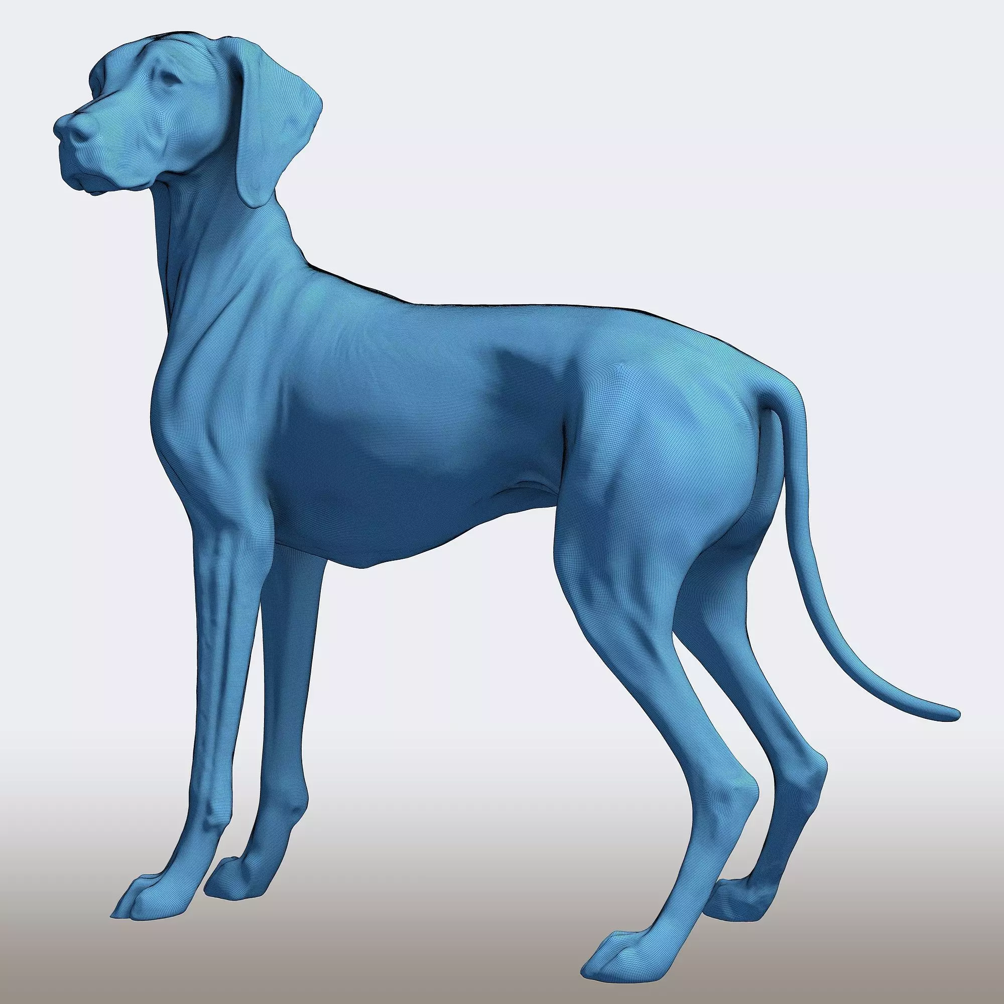 Vizsla Dog Statue Hungarian Pointer Breed Model  3D print model_8