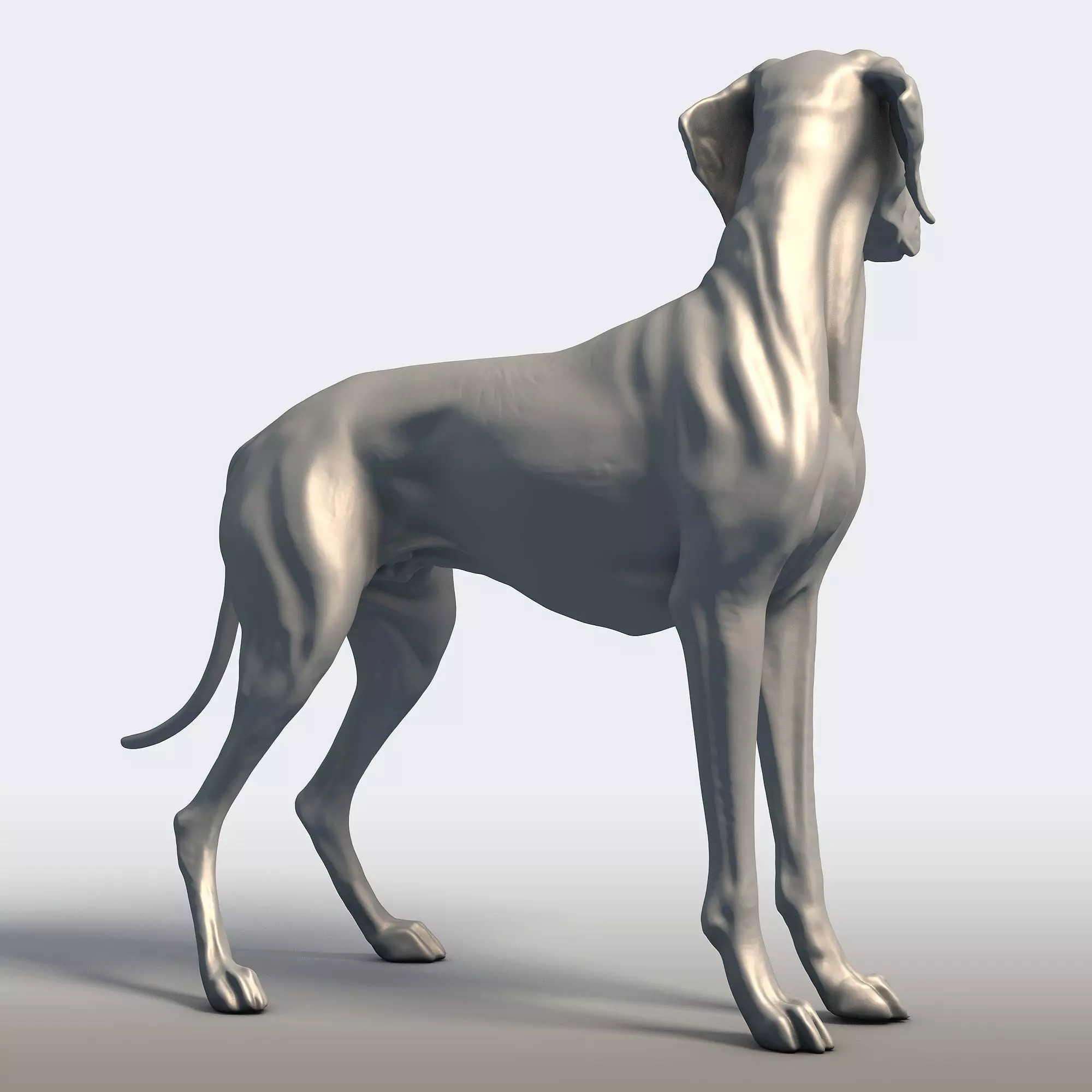 Vizsla Dog Statue Hungarian Pointer Breed Model  3D print model_3