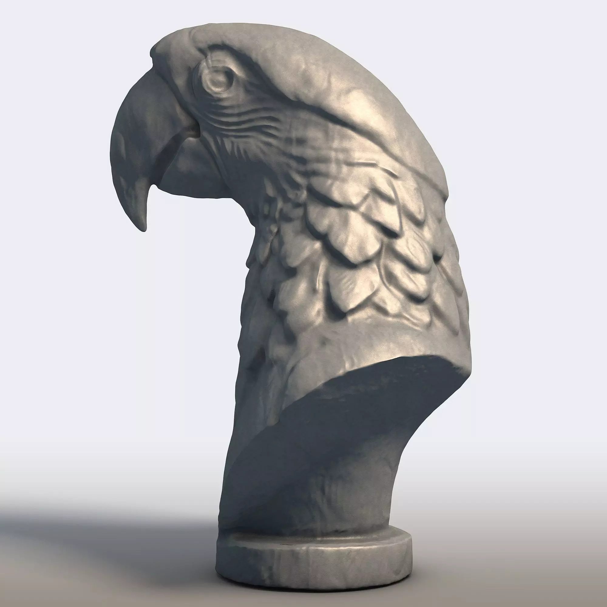 Scarlet Macaw Bust Sculpture Tropical Parrot Statue 3D print model_2