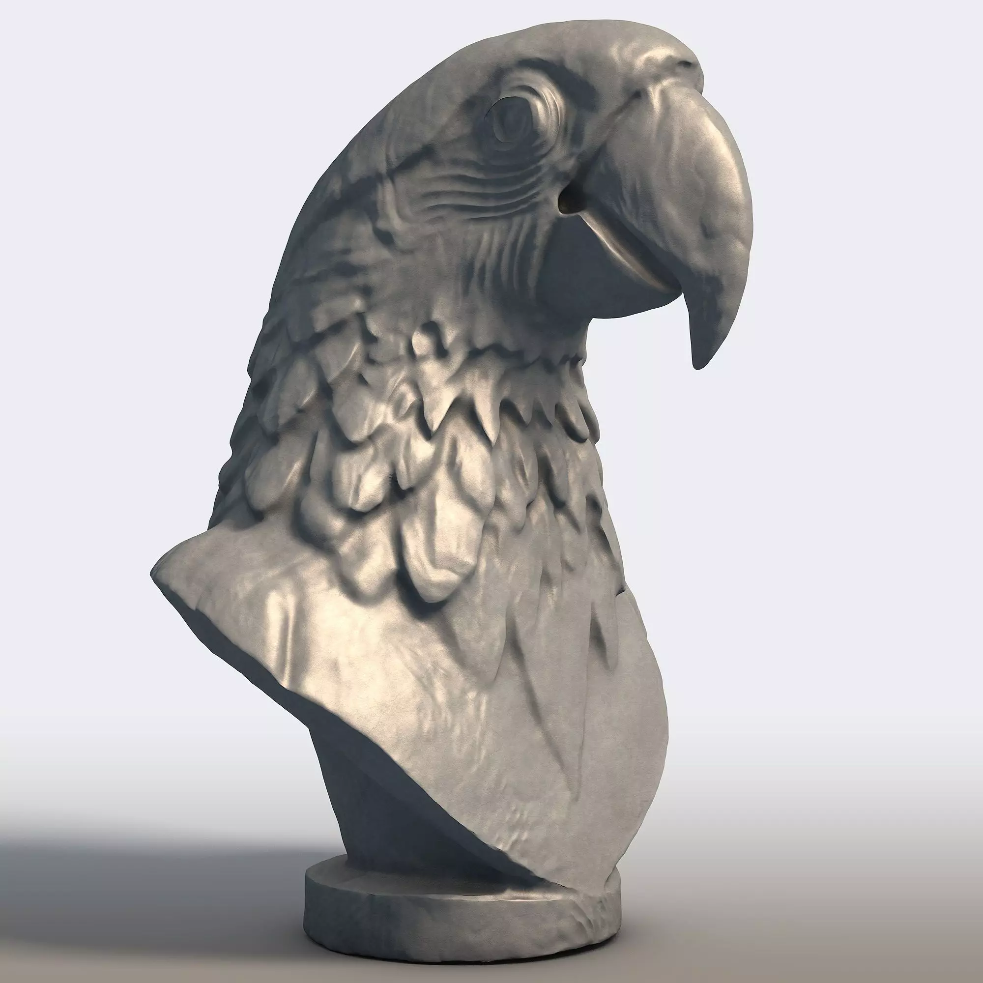 Scarlet Macaw Bust Sculpture Tropical Parrot Statue 3D print model_6