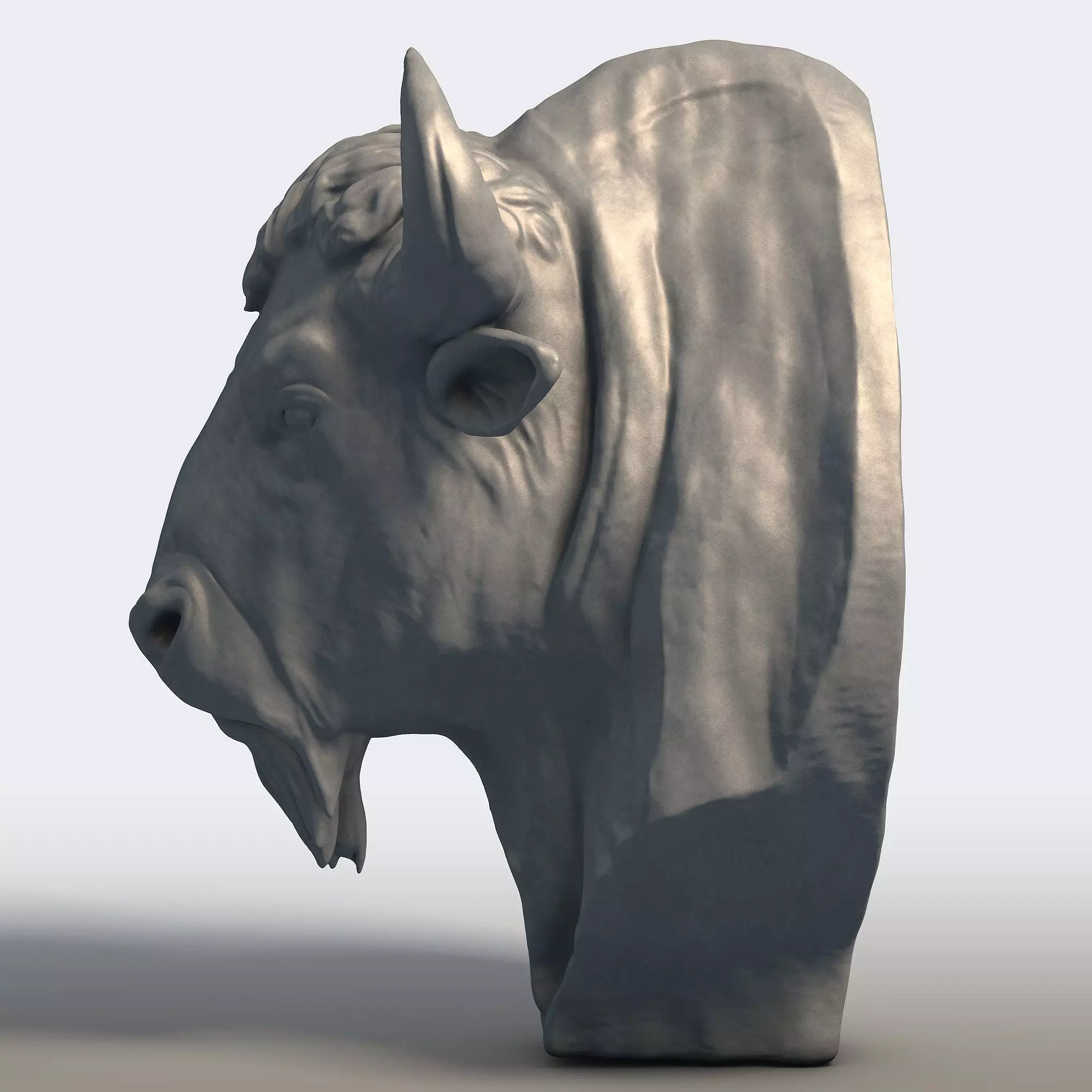 American Bison Bull Bust Sculpture  3D print model_6