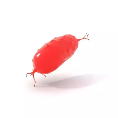Red Bacterium model pack Low-poly 3D model