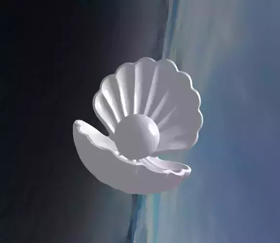 Pearl in Shell 3D Model