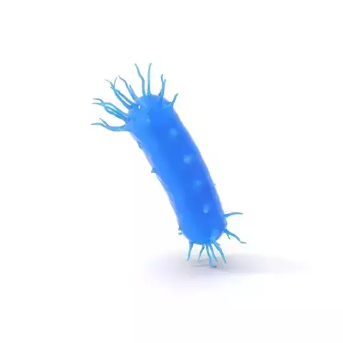 Blue Bacteria model pack Low-poly 3D model