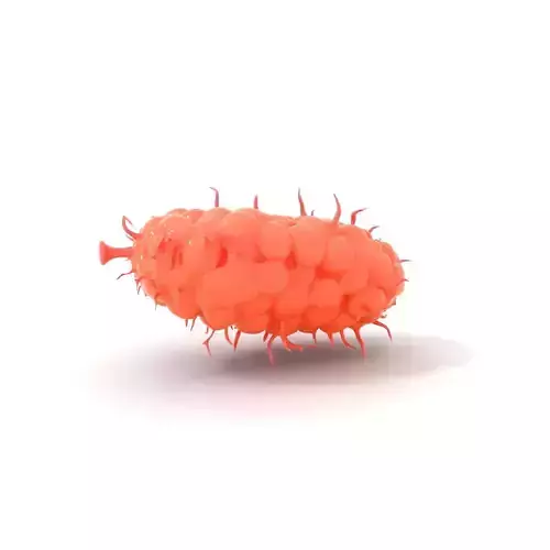 Pink Bacteria model pack Low-poly 3D model