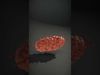 Pink Bacteria model pack Low-poly 3D model_2