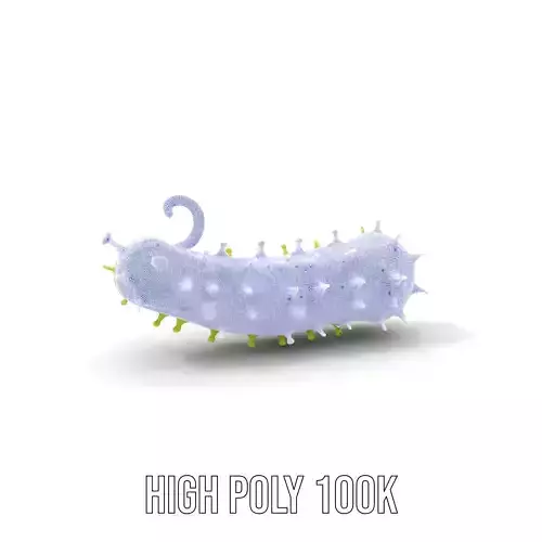 Spiky Green Cucumber model pack Low-poly 3D model 4