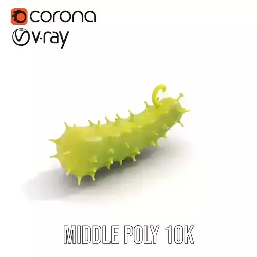 Spiky Green Cucumber model pack Low-poly 3D model 6