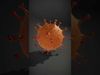 Vivid Cellular Display Pack 3D Model Collection_20