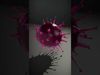 Vivid Cellular Display Pack 3D Model Collection_32