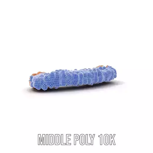 Textured Nut Cluster model pack Low-poly 3D model 5