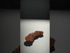 Textured Nut Cluster model pack Low-poly 3D model_2