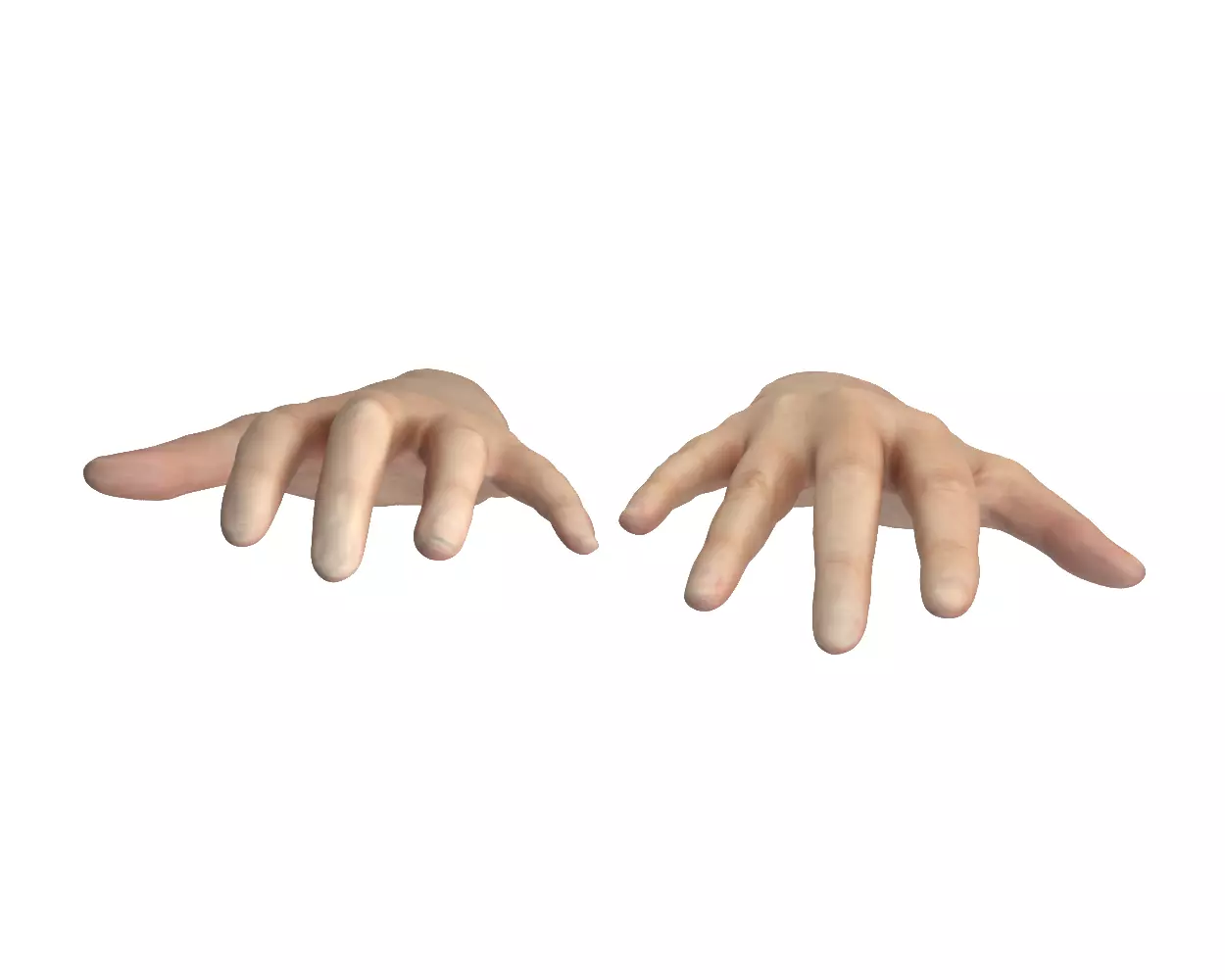 Female Hands 3D model_11
