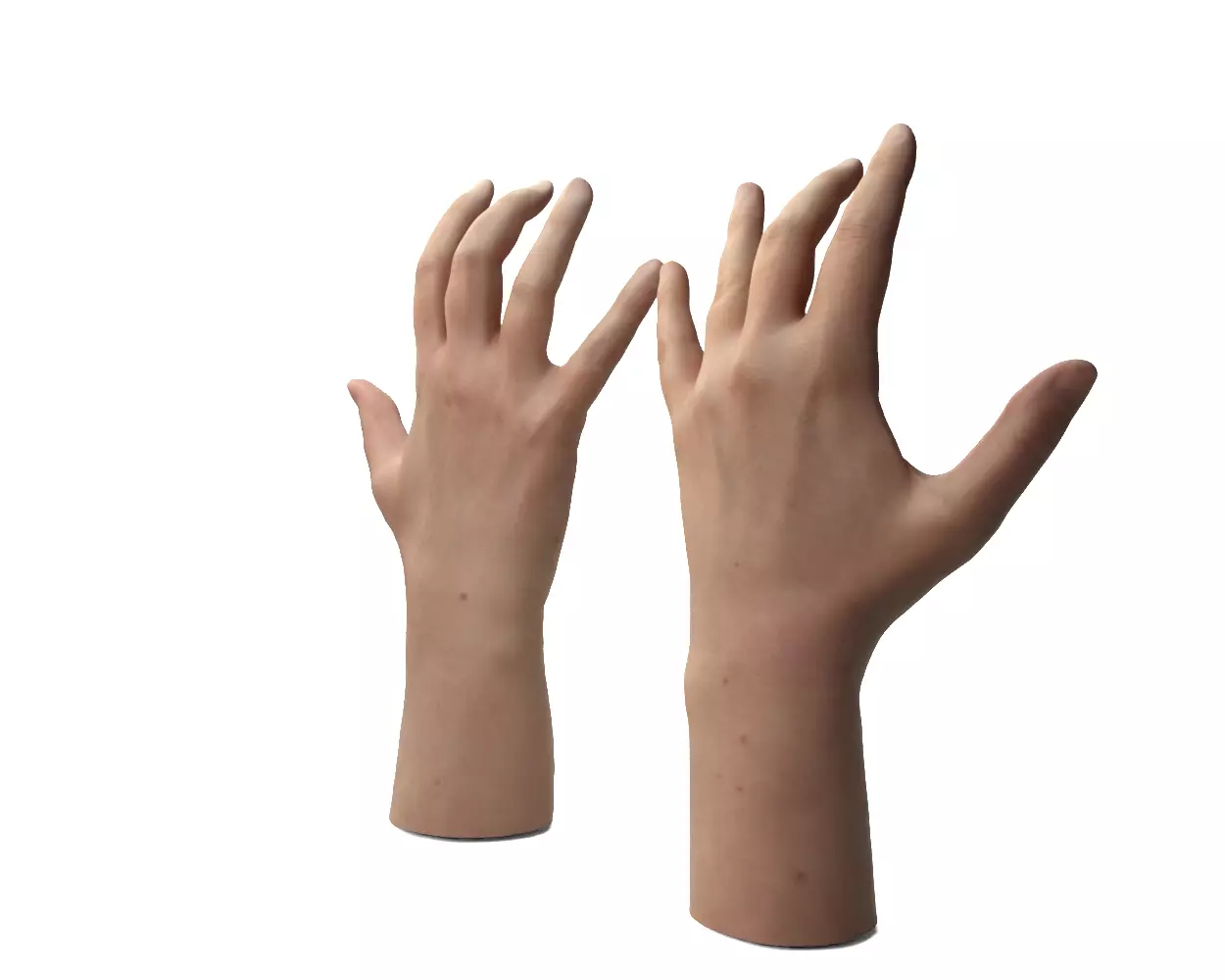 Female Hands 3D model_7