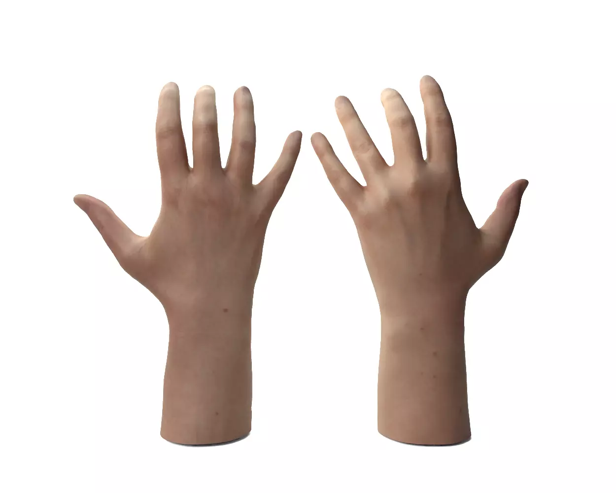 Female Hands 3D model_6