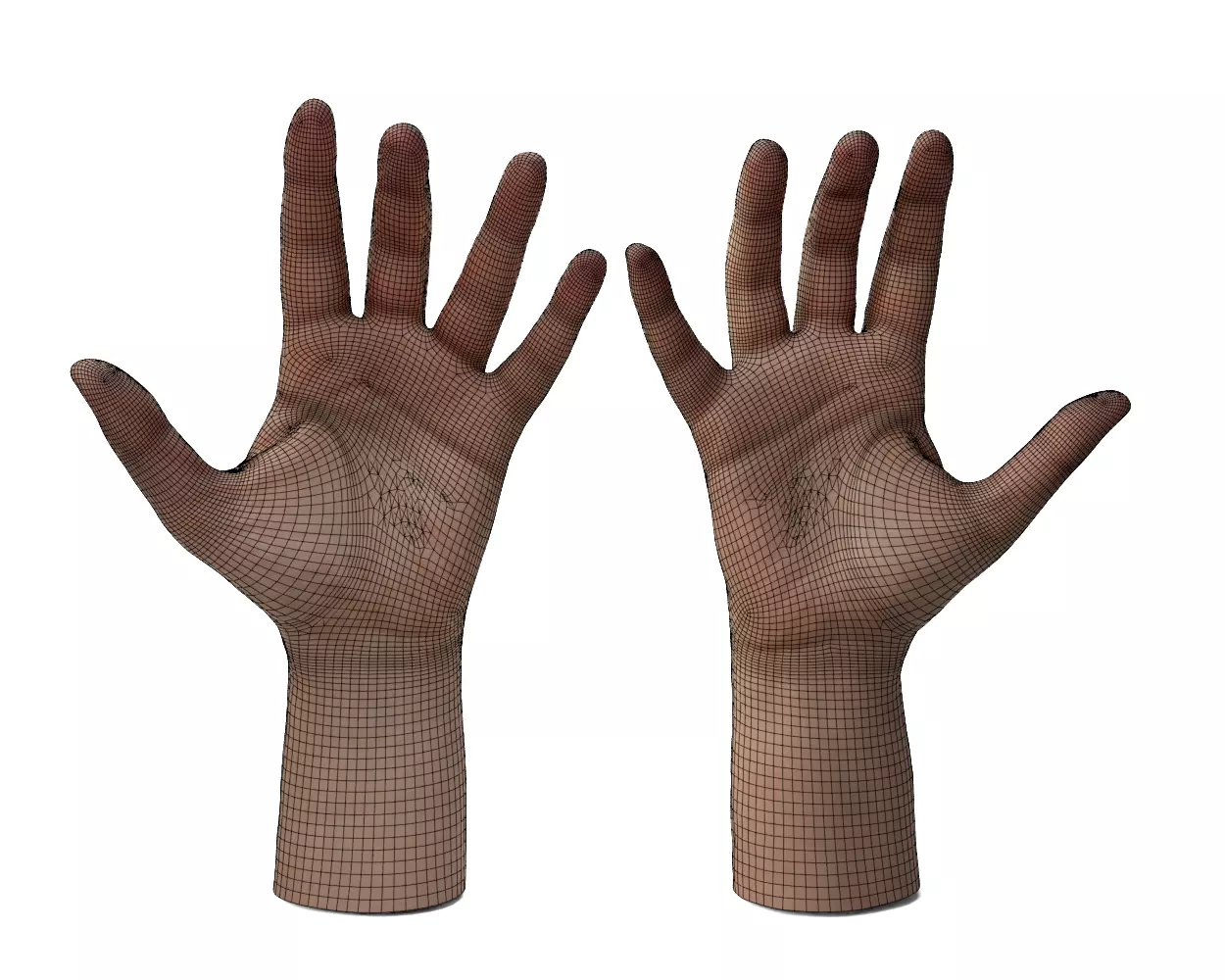 Female Hands 3D model_1