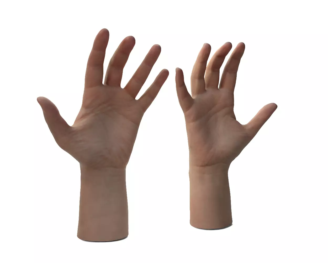 Female Hands 3D model_10