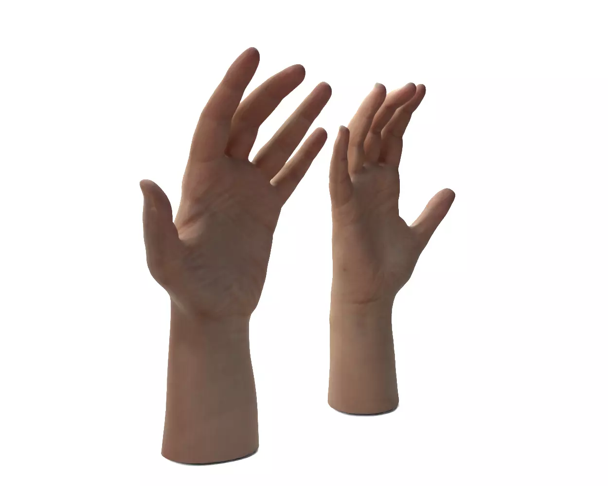 Female Hands 3D model_9