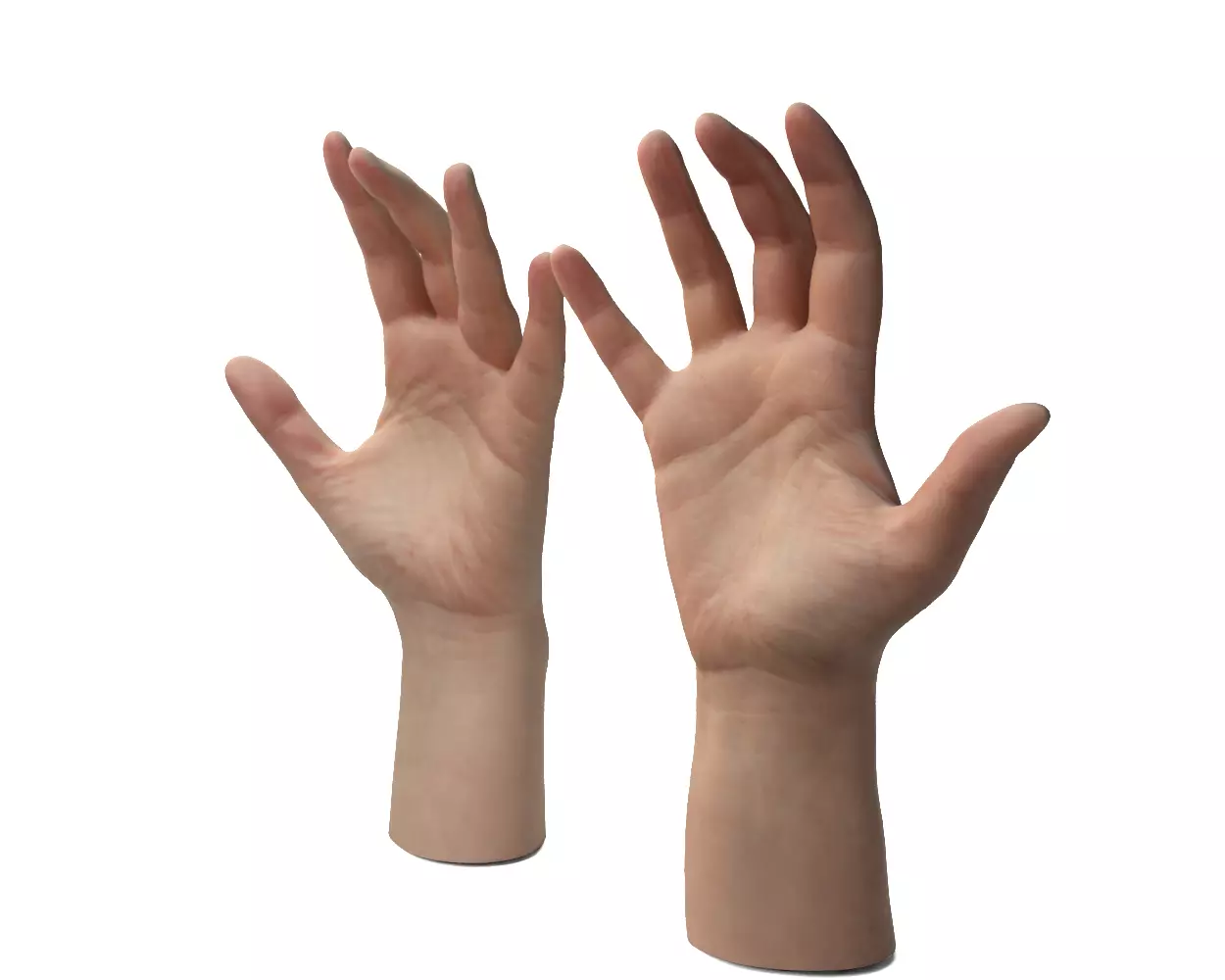 Female Hands 3D model_3