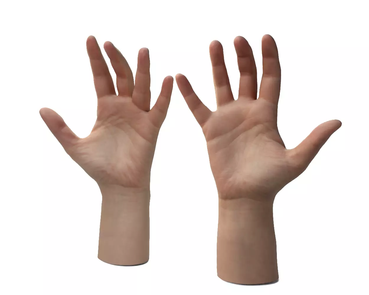 Female Hands 3D model_2