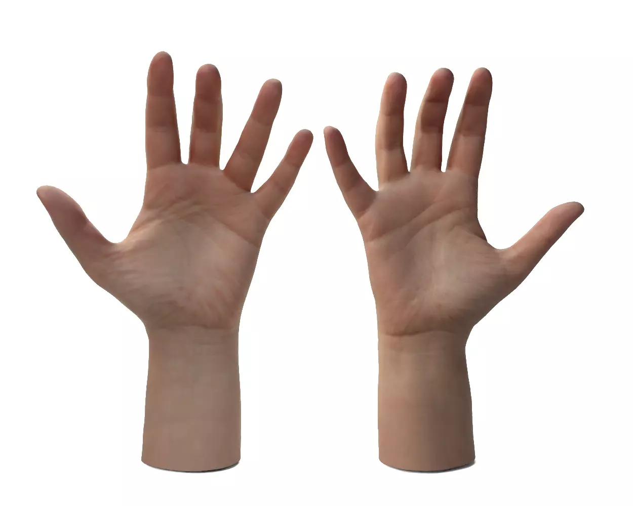 Female Hands 3D model_0