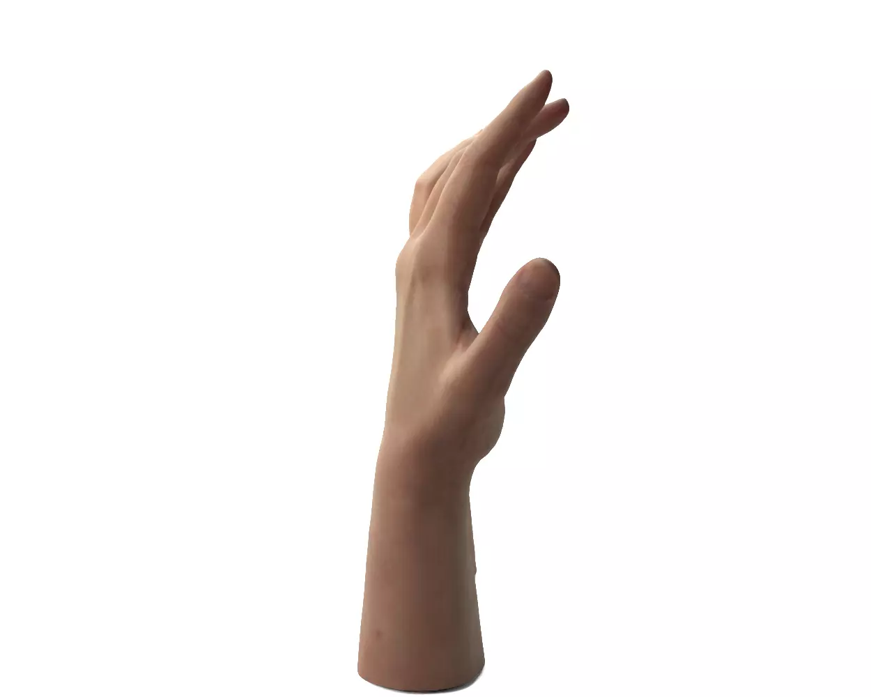 Female Hands 3D model_8