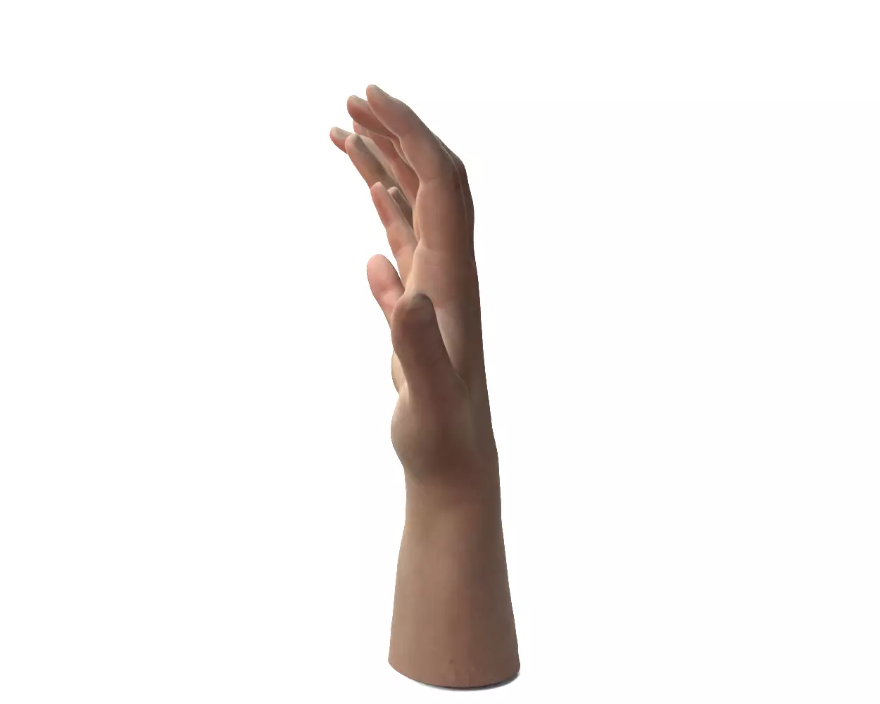 Female Hands 3D model_4