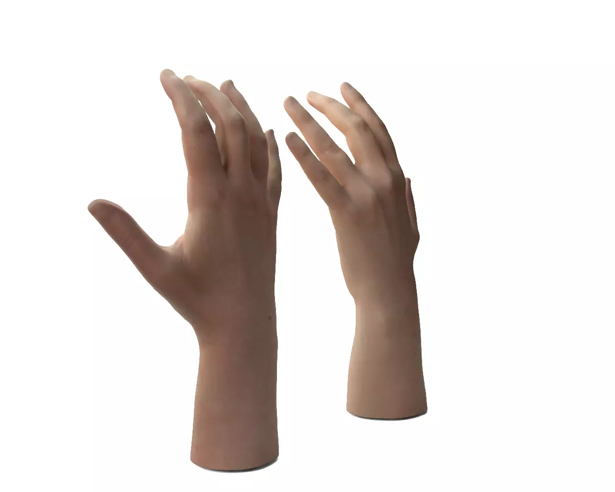 Female Hands 3D model_5