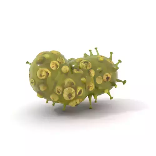 Alien Fruit Textured model pack Texture