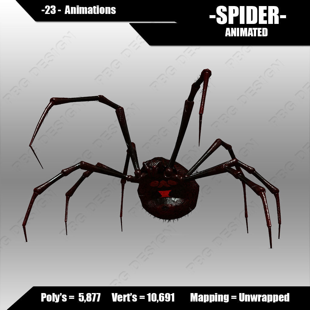 Spider animated 3D model_6