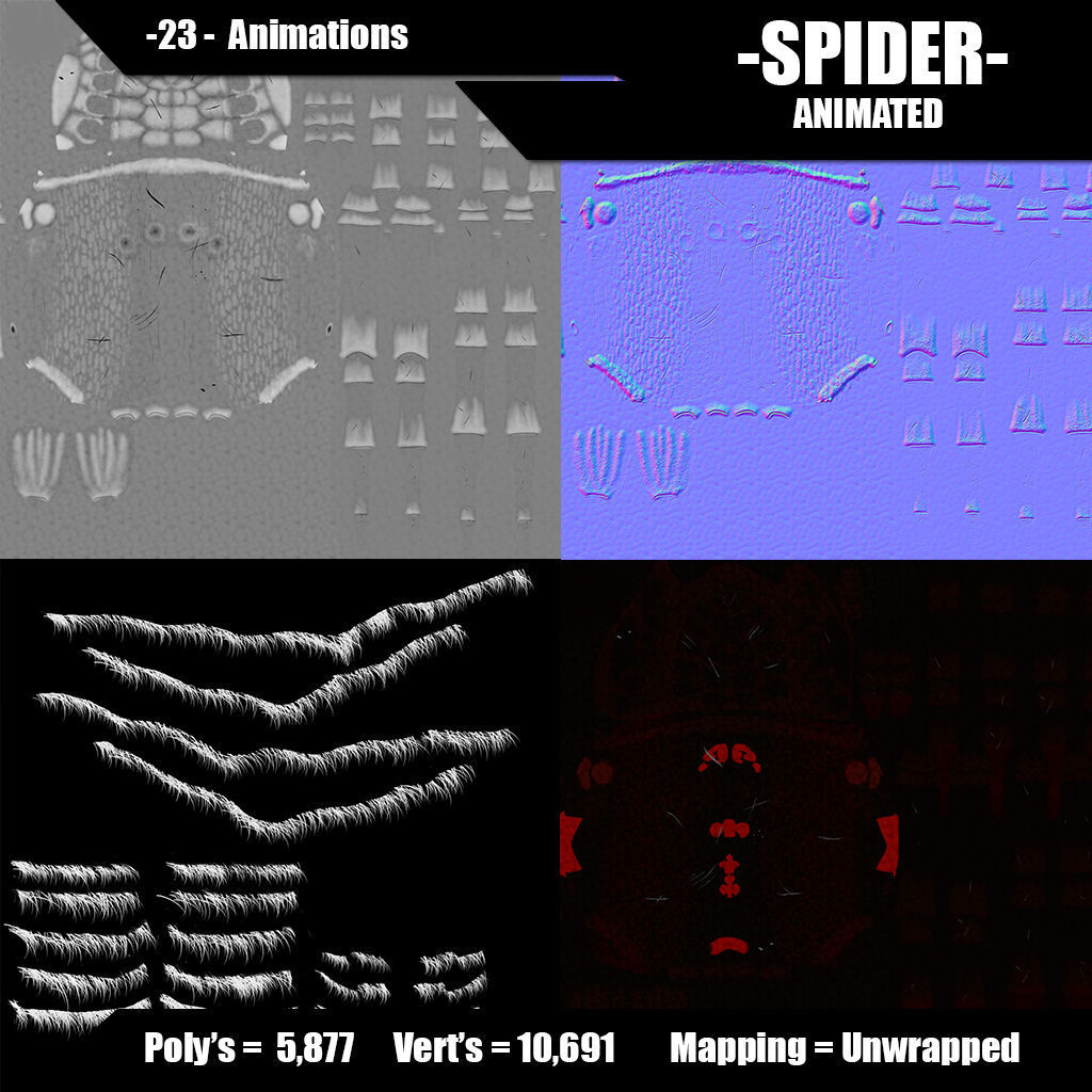 Spider animated 3D model_9