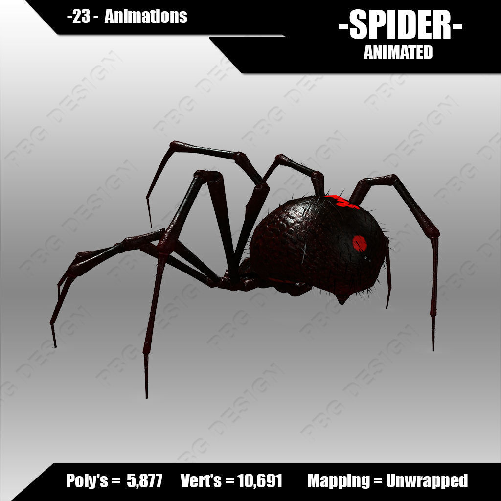 Spider animated 3D model_4
