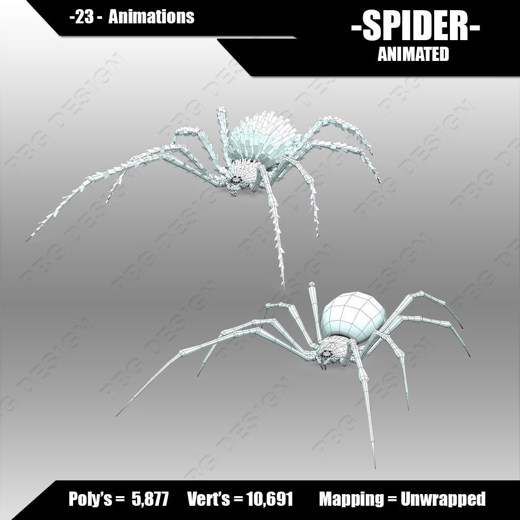 Spider animated 3D model_8