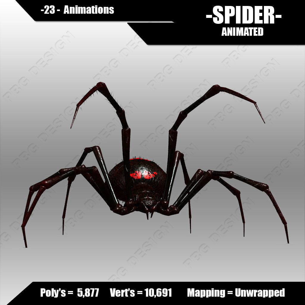 Spider animated 3D model_5