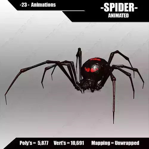 Spider animated 3D model