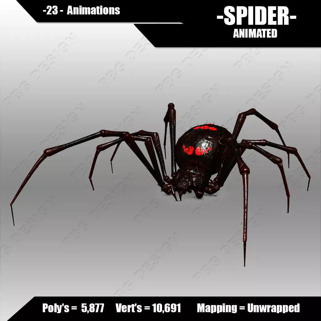 Spider animated 3D model_0