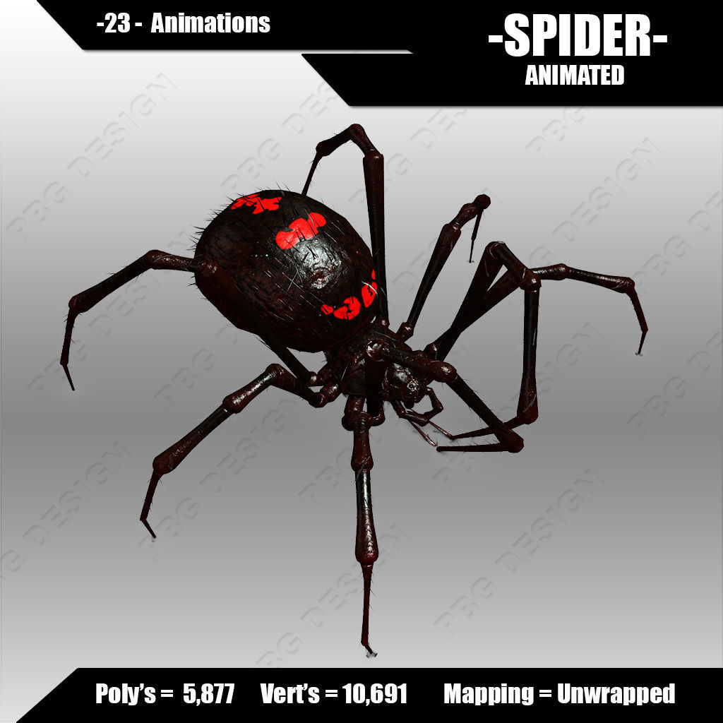 Spider animated 3D model_2