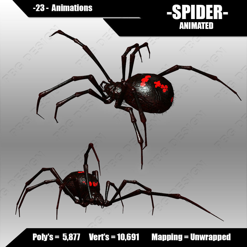 Spider animated 3D model_1