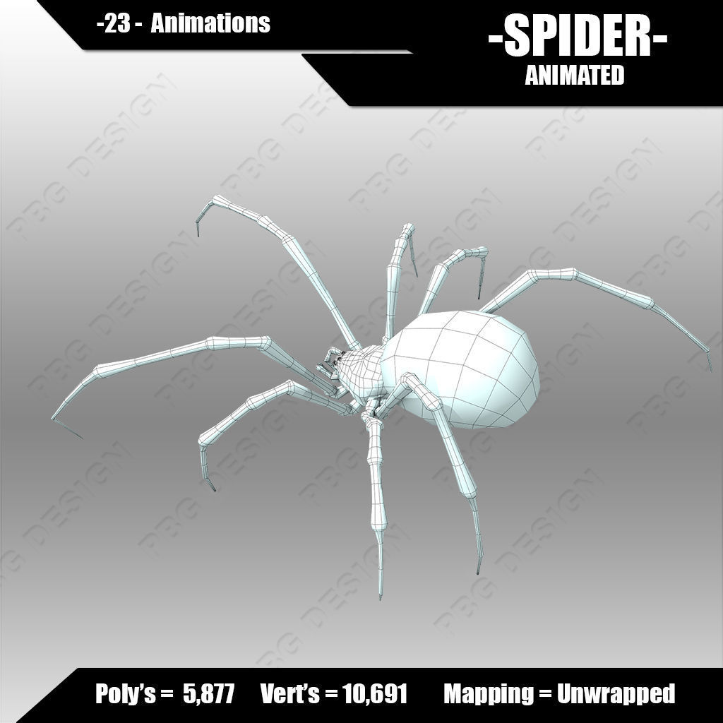 Spider animated 3D model_7