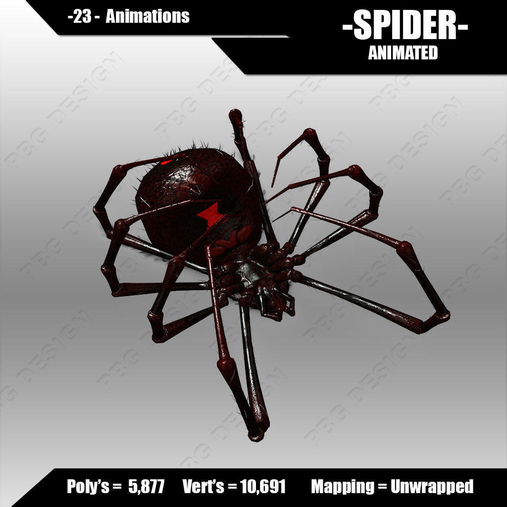 Spider animated 3D model_3
