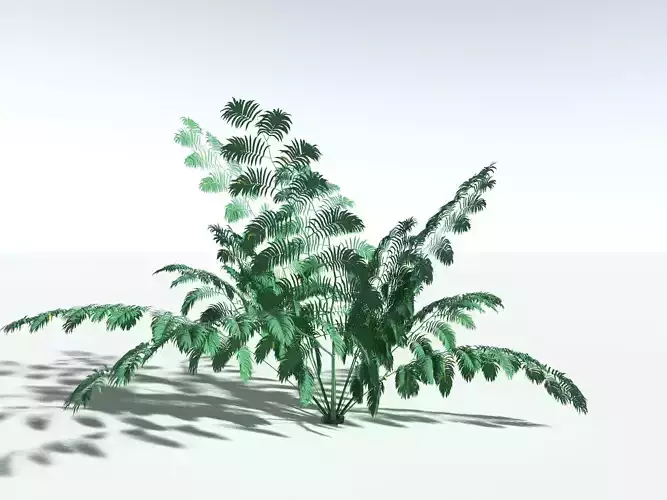 EVERYPlant King Fern 3D model
