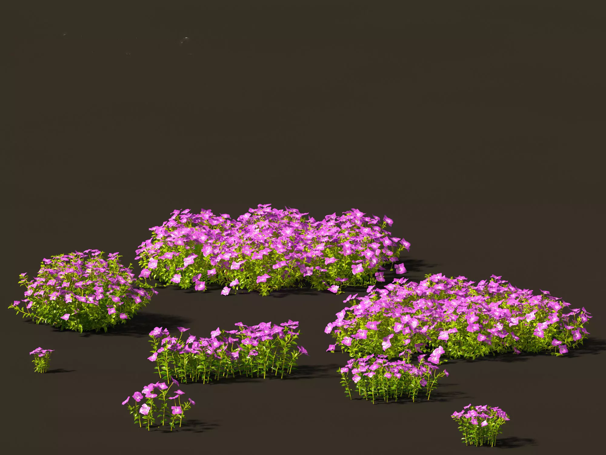 Groundcovers Pack 23 3D model_21
