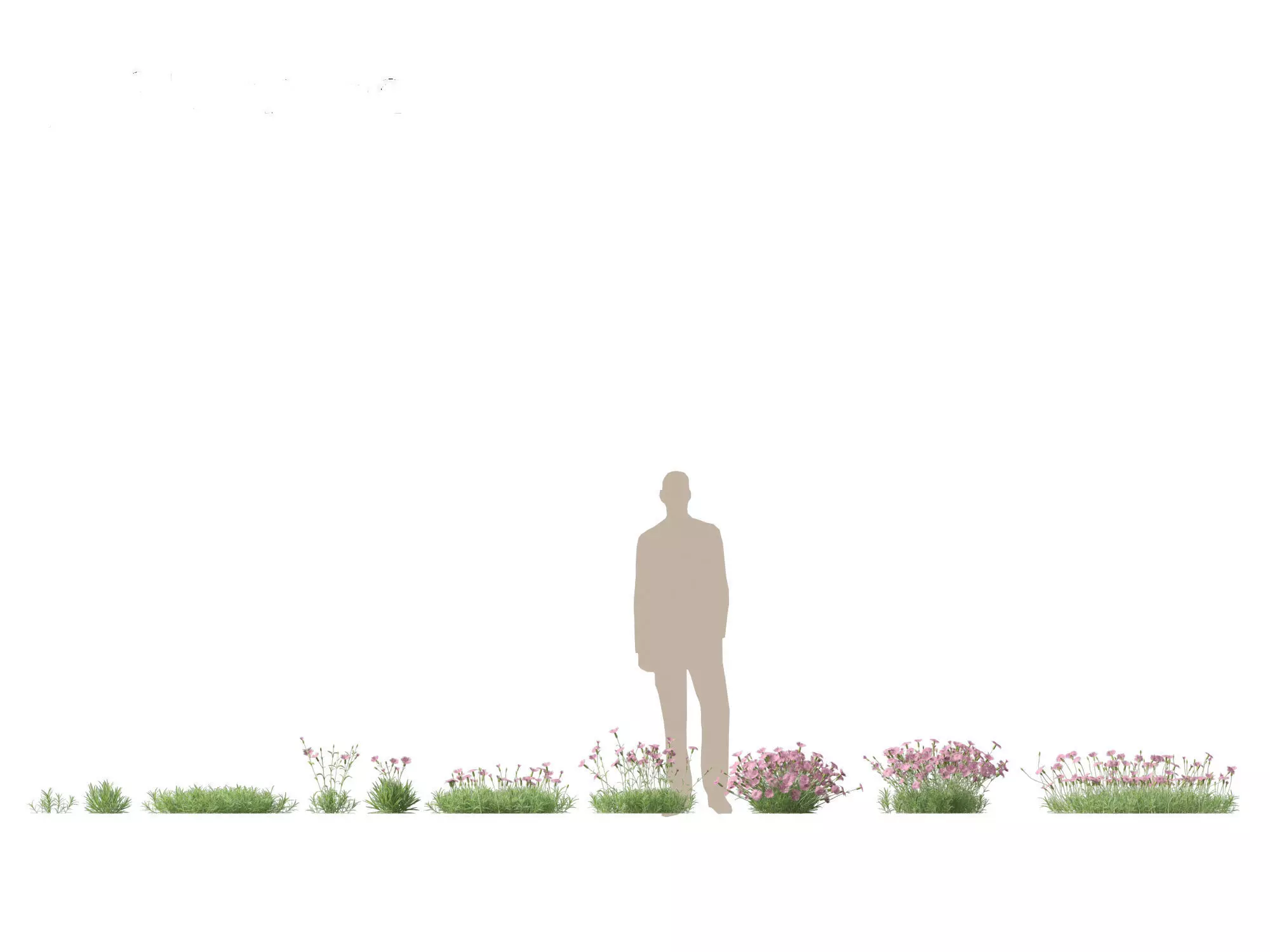 Groundcovers Pack 23 3D model_5