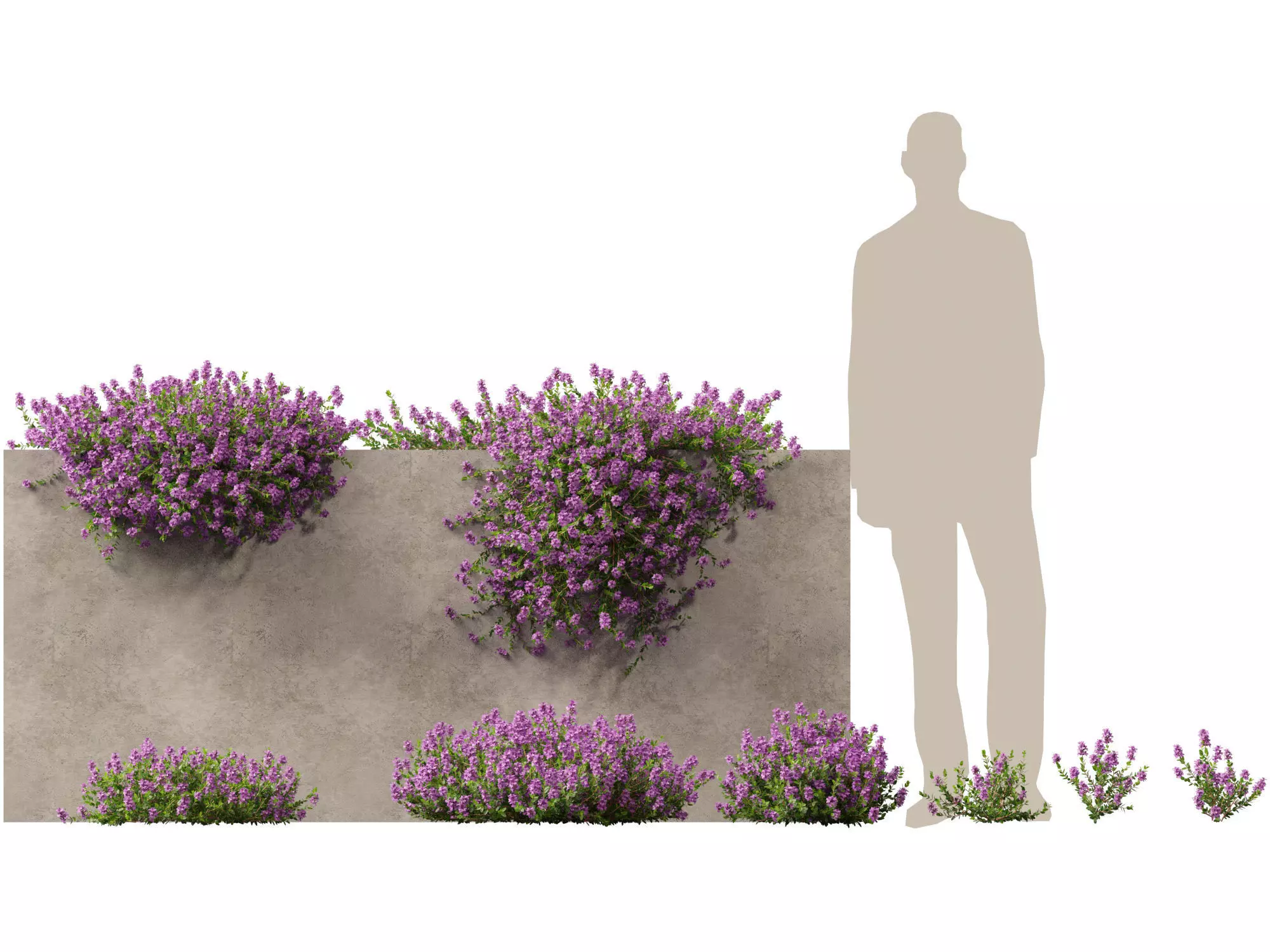 Groundcovers Pack 23 3D model_19