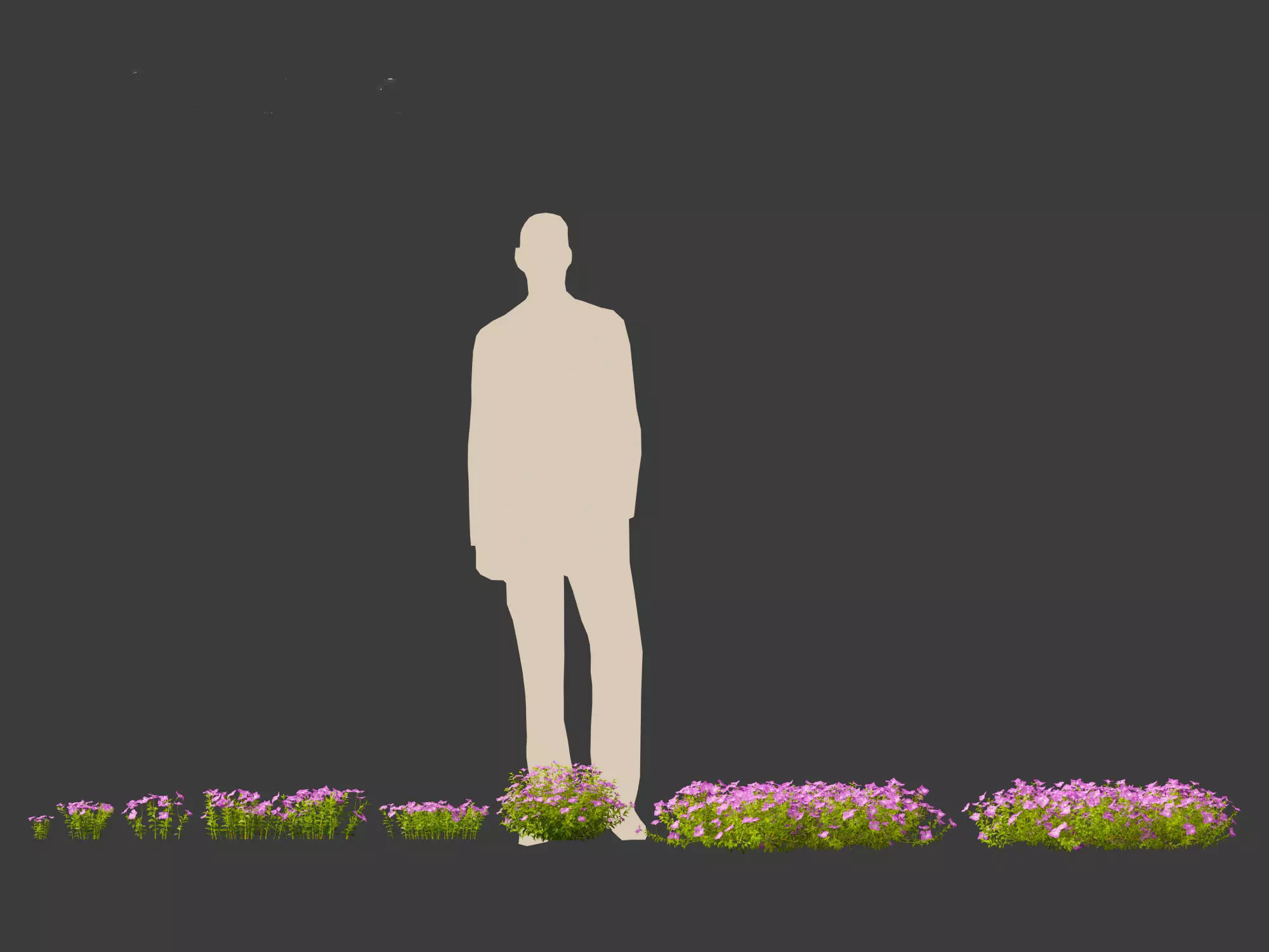 Groundcovers Pack 23 3D model_20