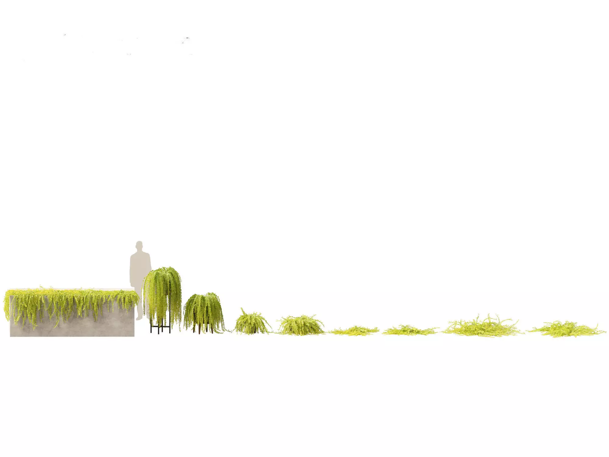 Groundcovers Pack 23 3D model_12