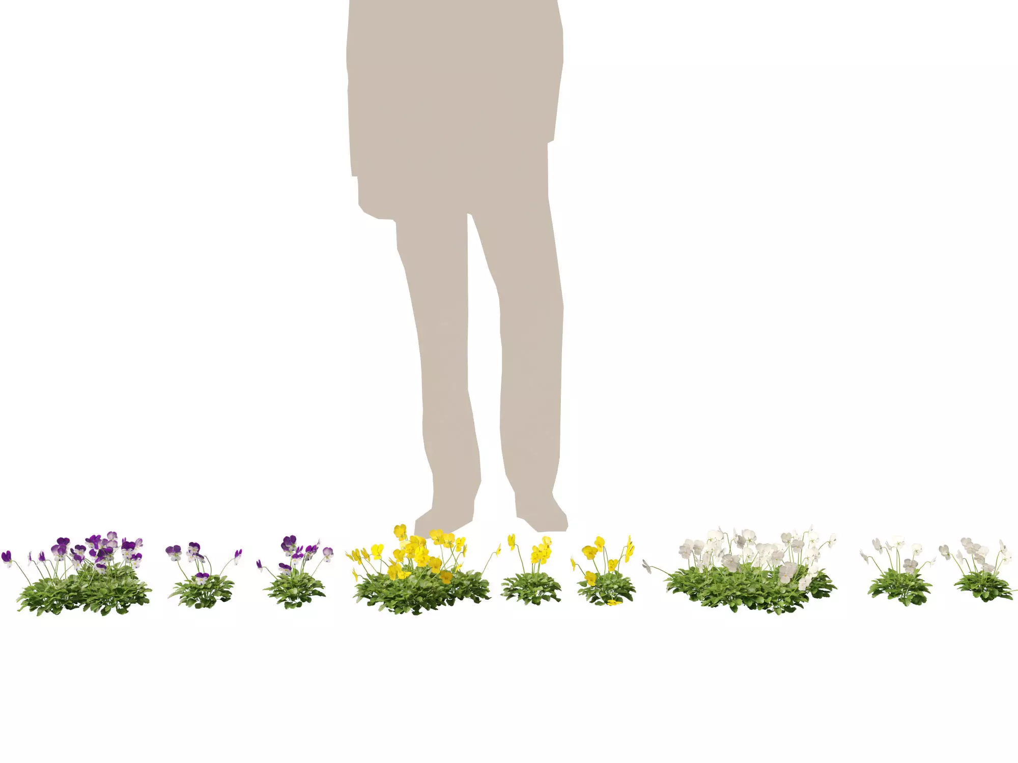 Groundcovers Pack 23 3D model_22