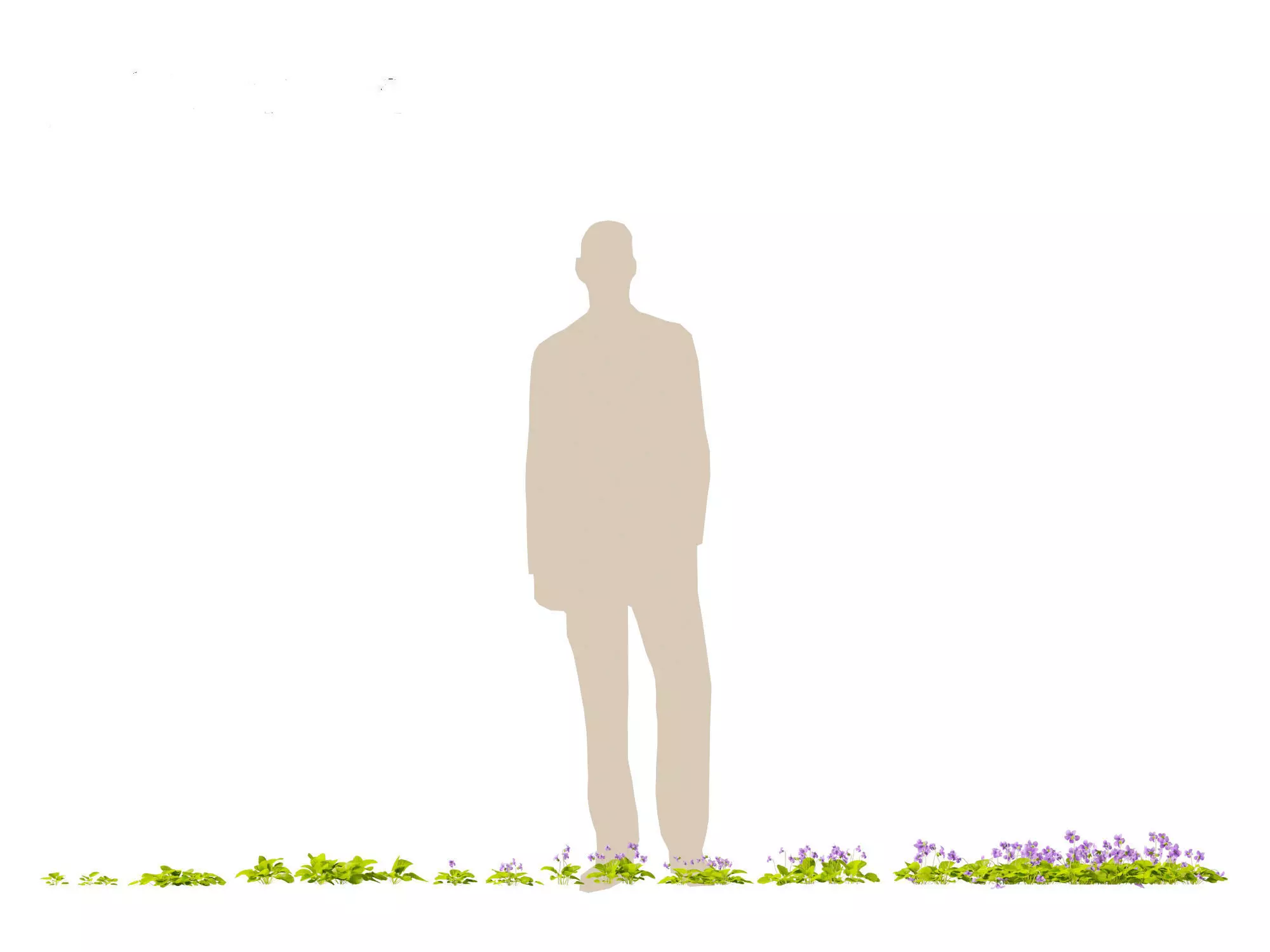 Groundcovers Pack 23 3D model_24