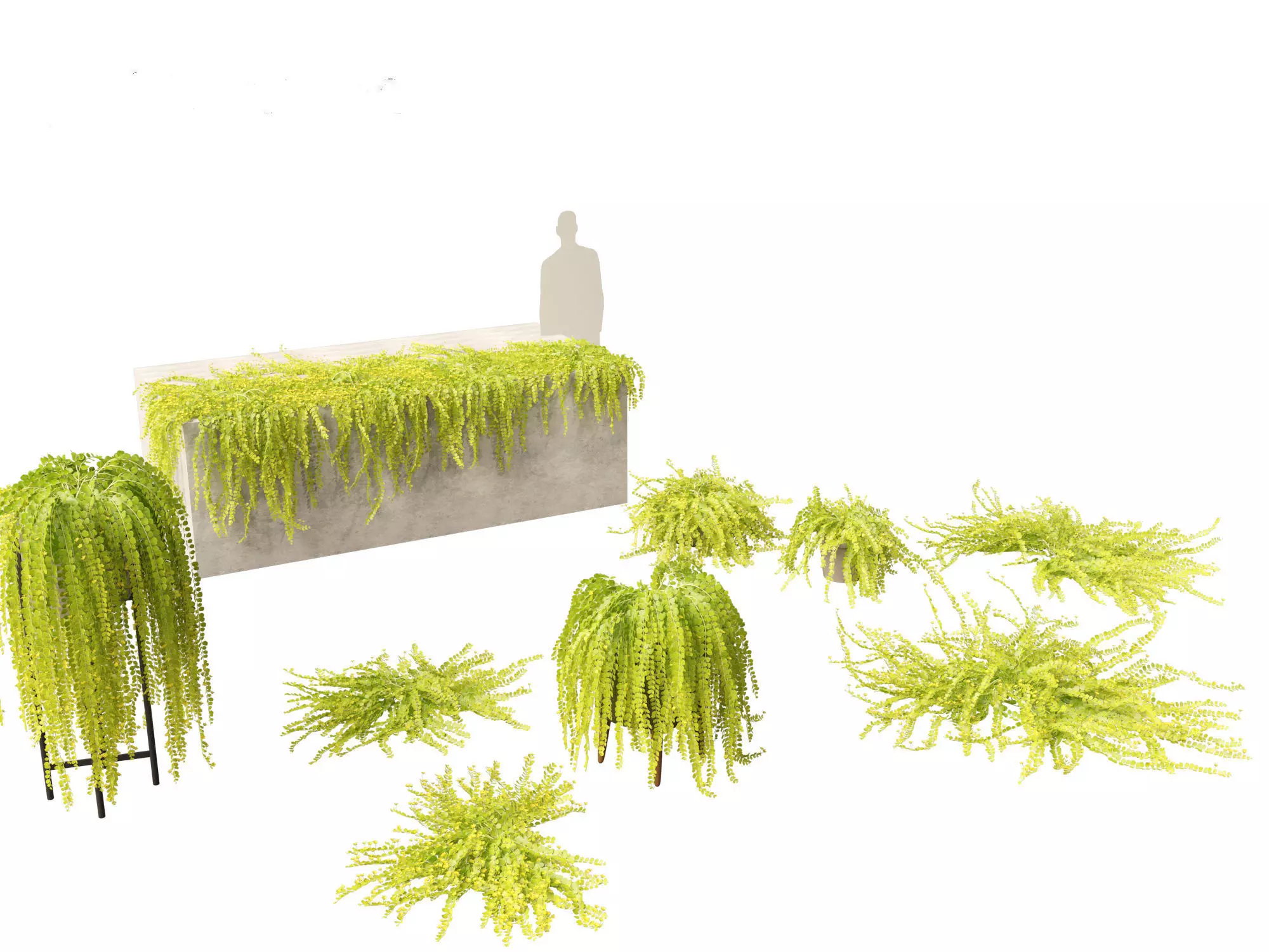 Groundcovers Pack 23 3D model_13